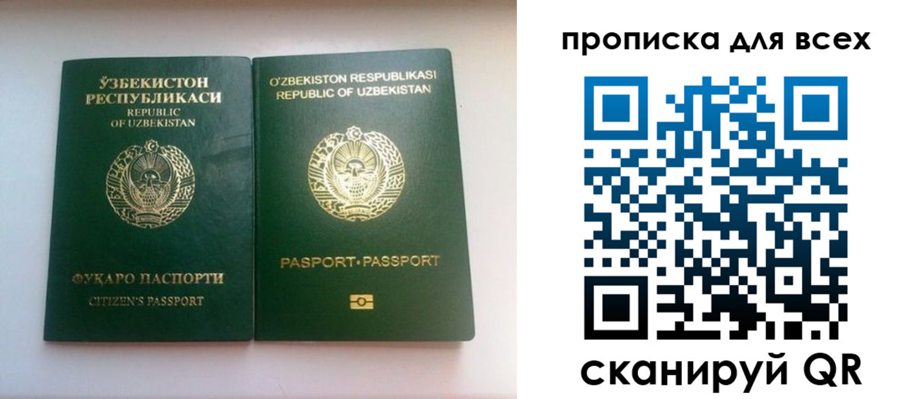 прописка для школы в Свирске